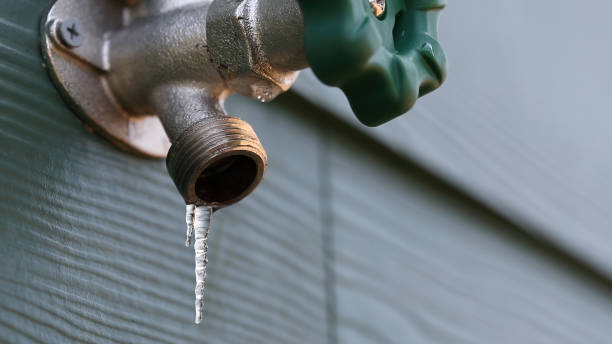 Best Plumbing Inspection Services  in Wellsboro, PA